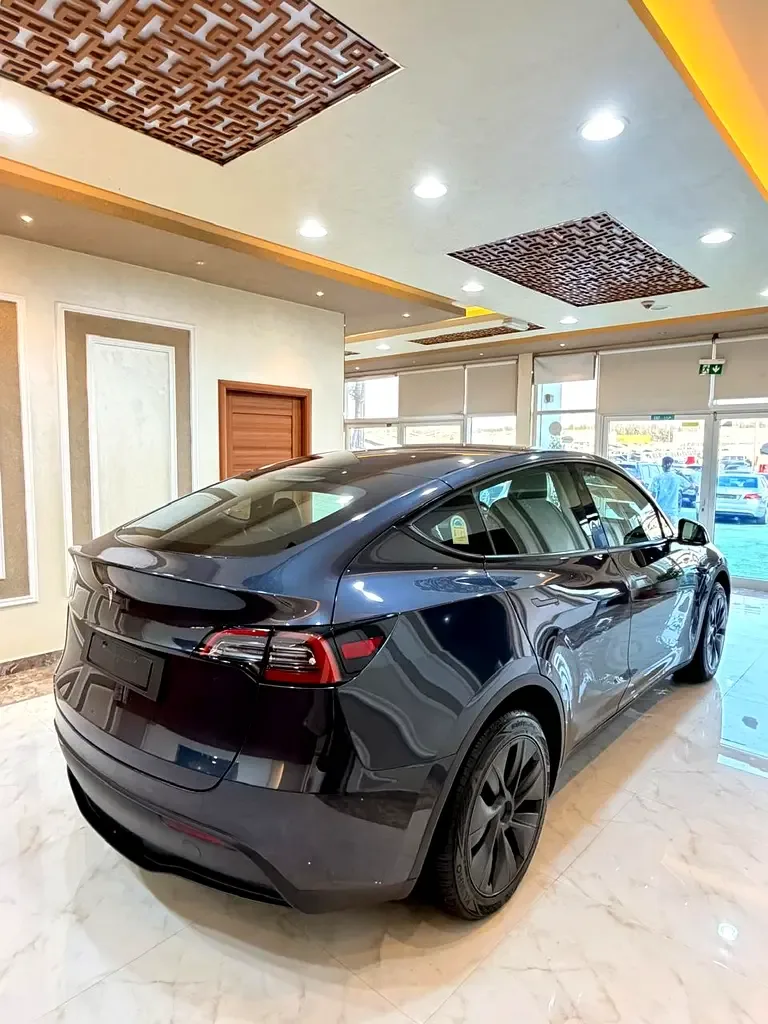 Tesla Model Y AT (271 hp) - 13