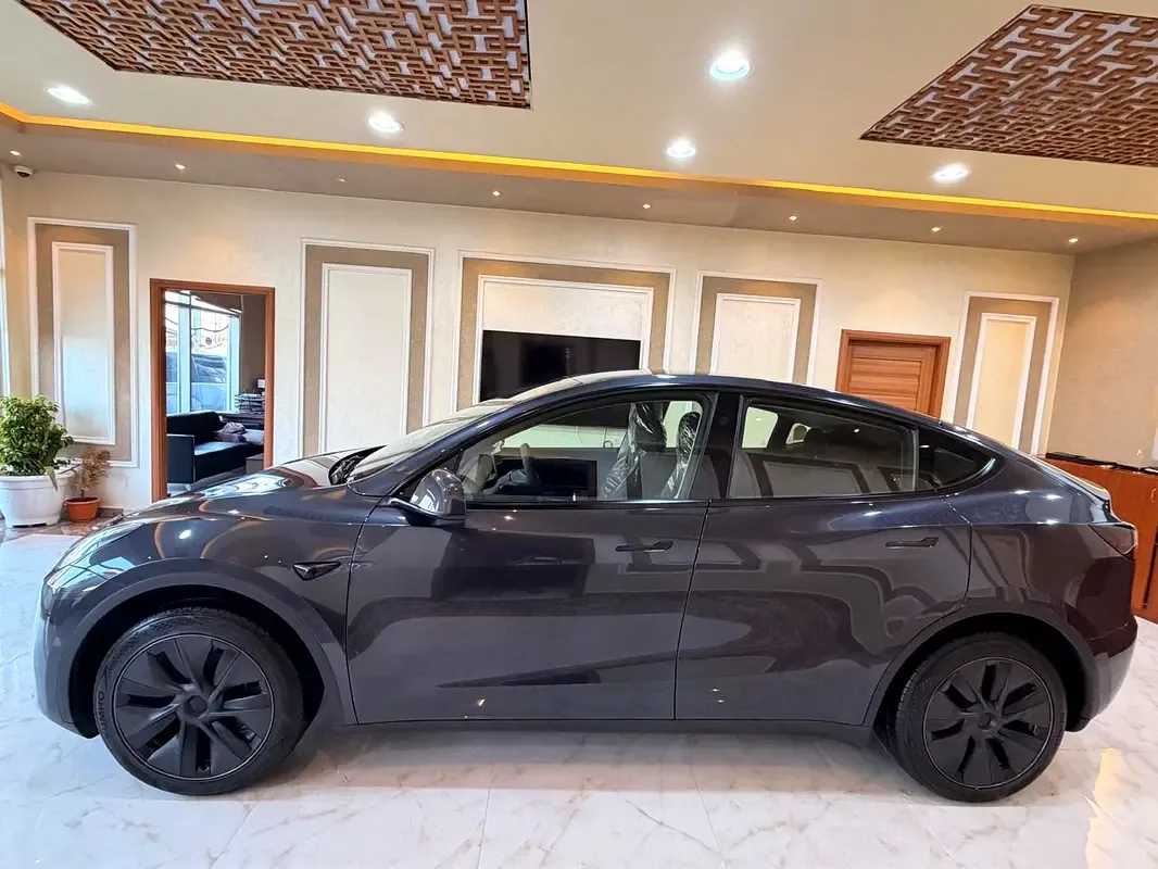 Tesla Model Y AT (271 hp) - 14