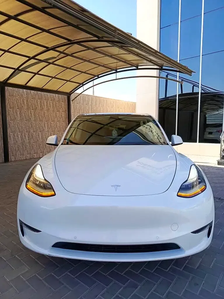 Tesla Model Y AT (271 hp) - 3