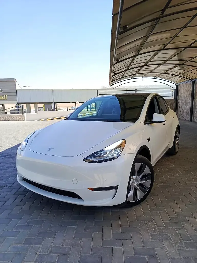 Tesla Model Y AT (271 hp)