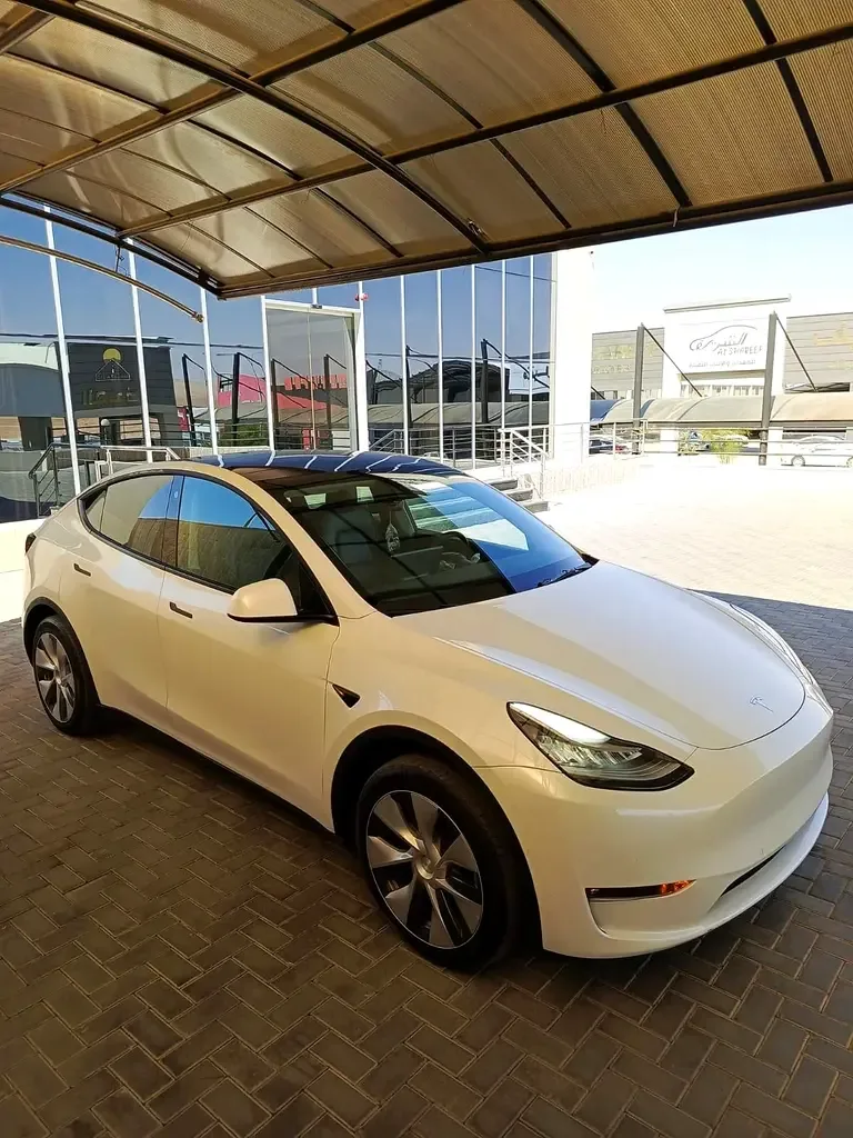 Tesla Model Y AT (271 hp) - 7