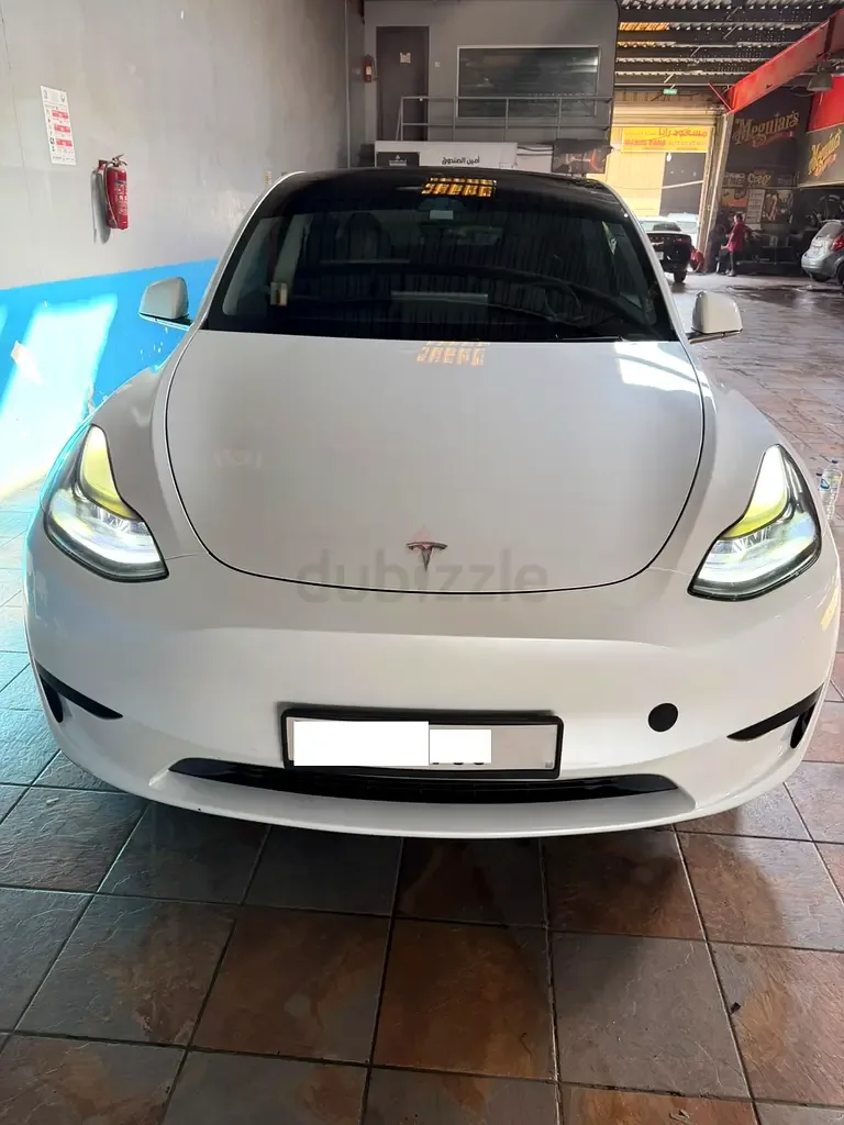 Tesla Model Y AT (271 hp)