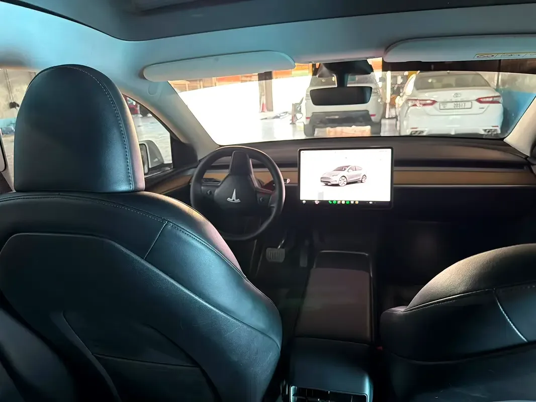 Tesla Model Y AT (271 hp) - 6