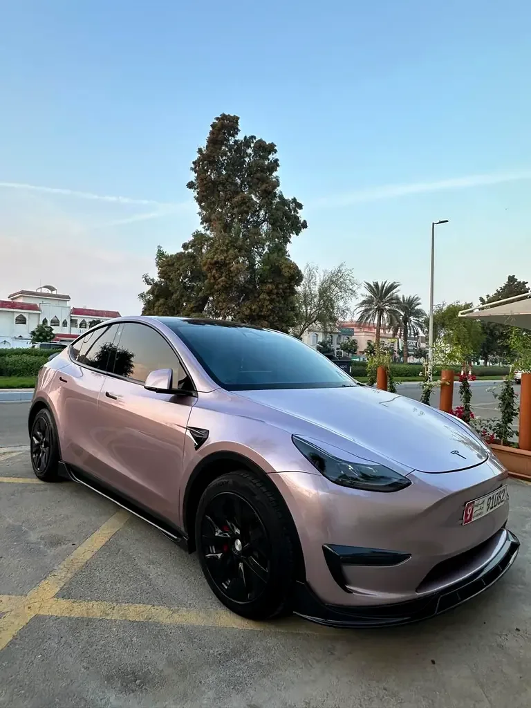 Tesla Model Y AT (299 hp)