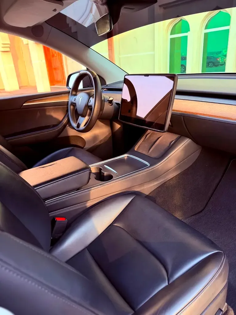 Tesla Model Y AT (299 hp) - 9