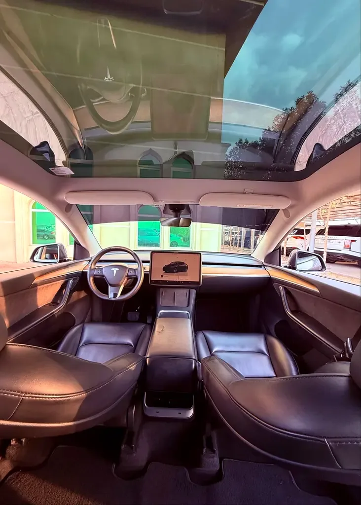 Tesla Model Y AT (299 hp) - 14