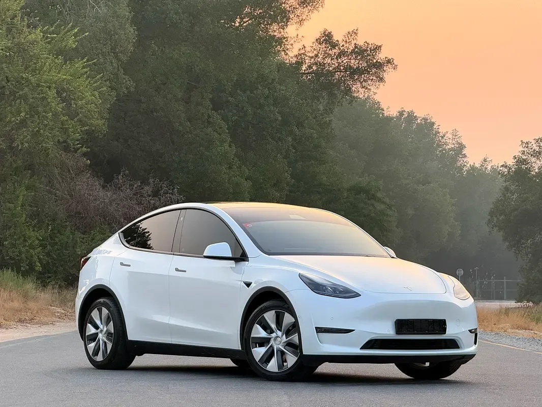 Tesla Model Y AT 4WD (345 hp)