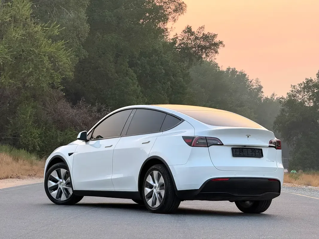 Tesla Model Y AT 4WD (345 حصان) - 6