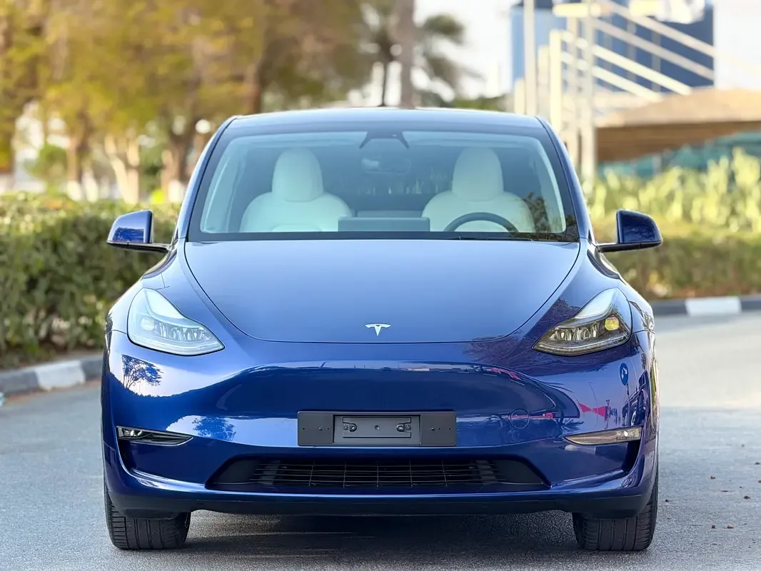 Tesla Model Y AT 4WD (345 hp) - 3