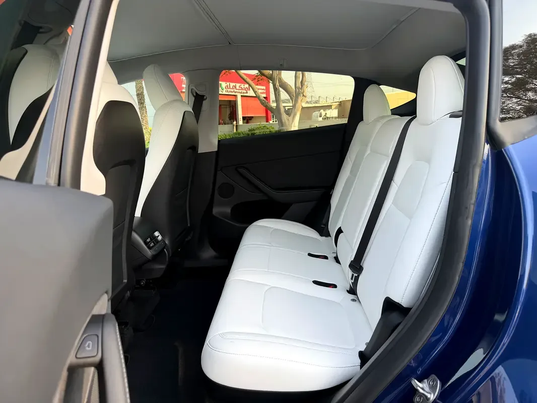 Tesla Model Y AT 4WD (345 hp) - 10