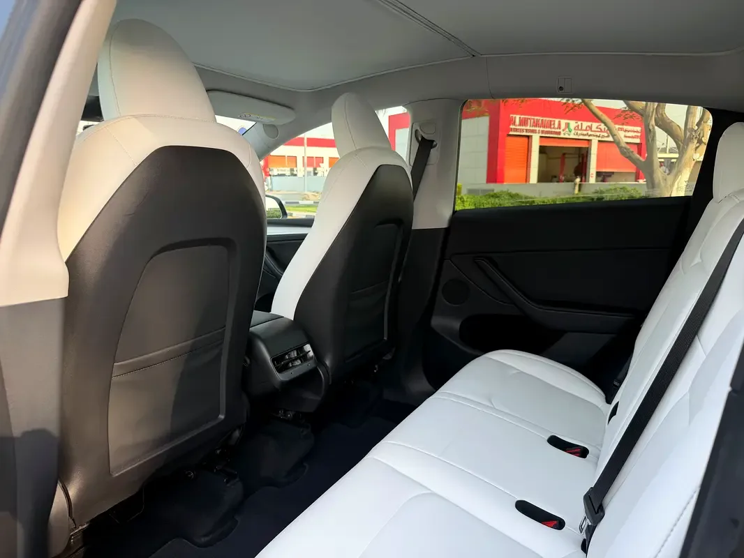 Tesla Model Y AT 4WD (345 hp) - 11