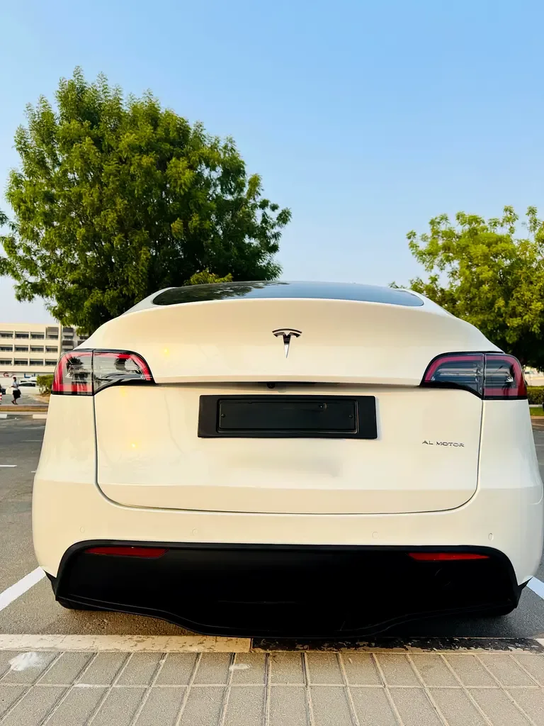 Tesla Model Y AT 4WD (345 حصان) - 2