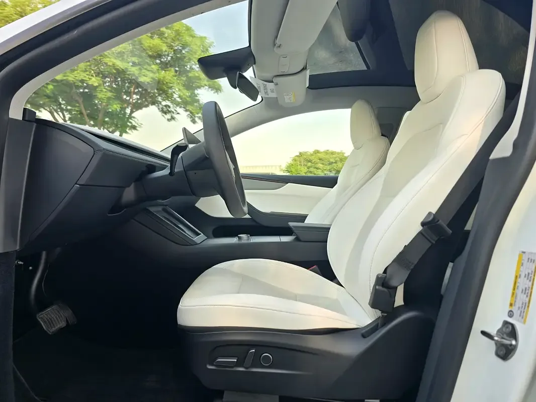 Tesla Model Y AT 4WD (345 حصان) - 4