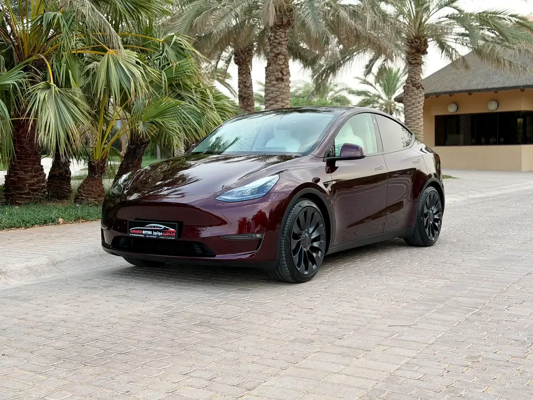 Tesla Model Y AT 4WD (450 hp)