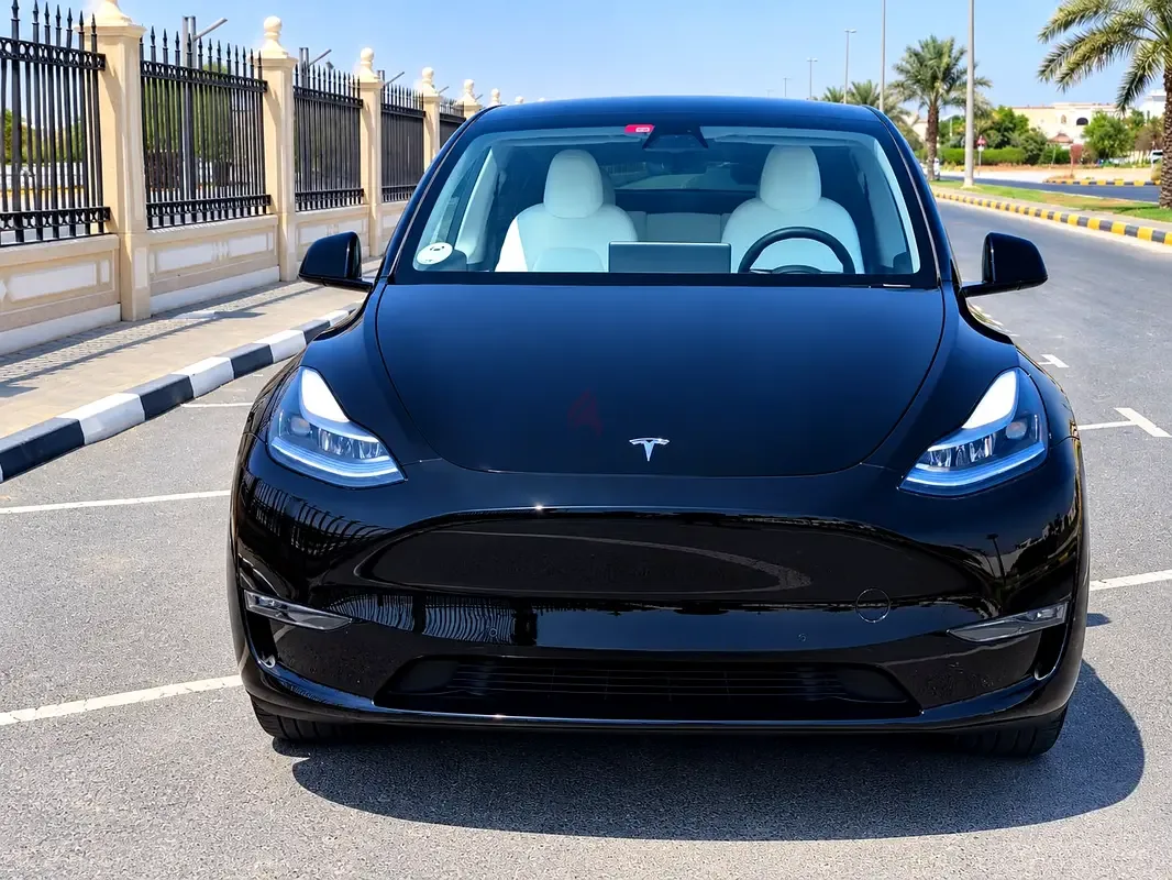 Tesla Model Y AT 4WD (450 hp)