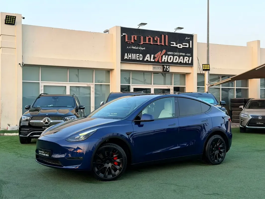 Tesla Model Y AT 4WD (450 hp)