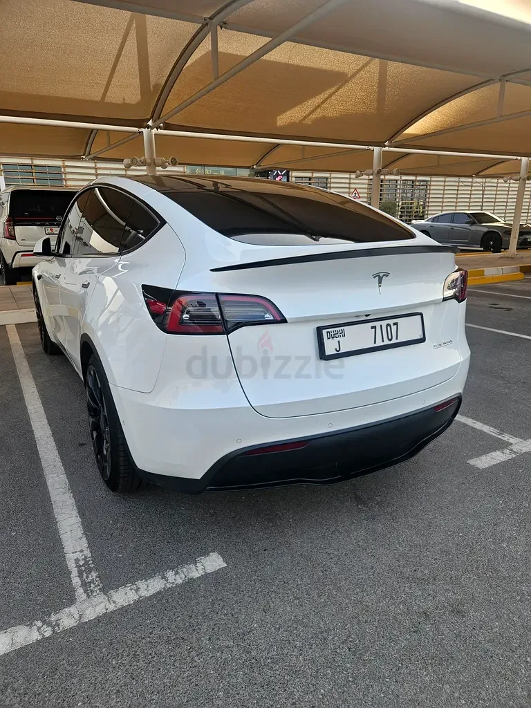 Tesla Model Y AT 4WD (450 hp)