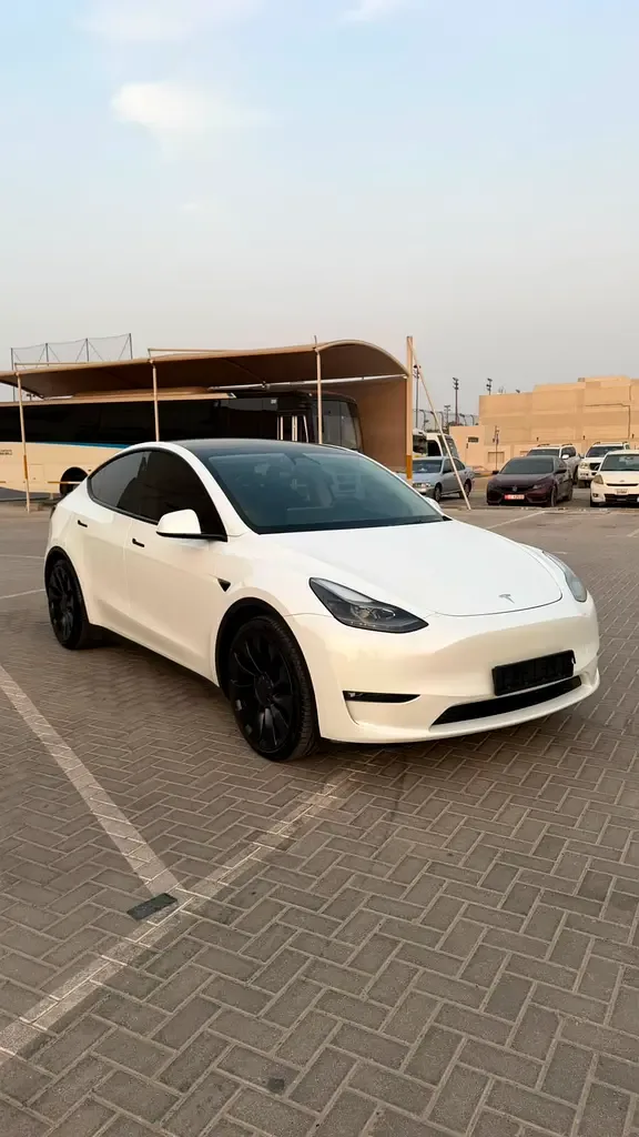 Tesla Model Y AT 4WD (450 hp)