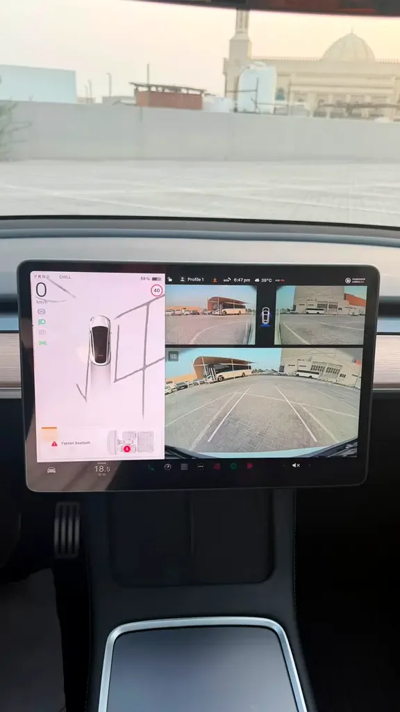 Tesla Model Y AT 4WD (450 حصان) - 4