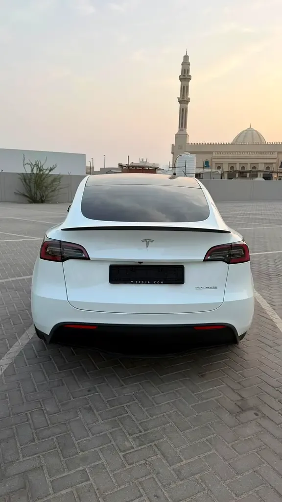 Tesla Model Y AT 4WD (450 حصان) - 17
