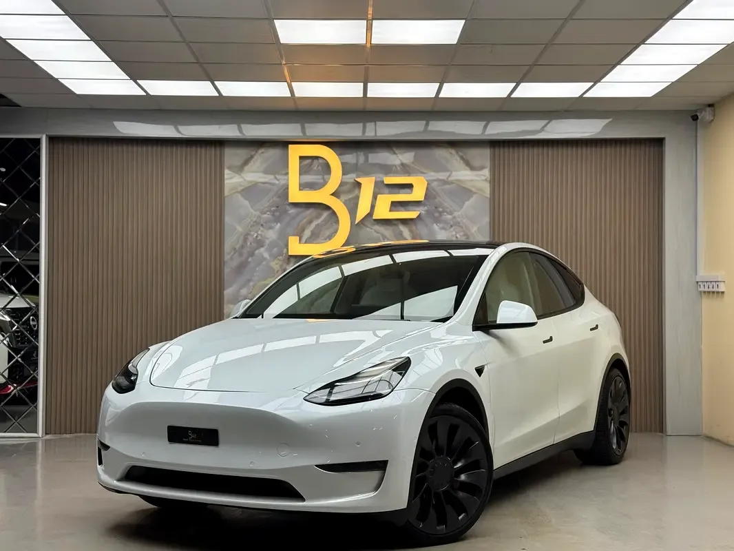 Tesla Model Y AT 4WD (450 hp) - 2
