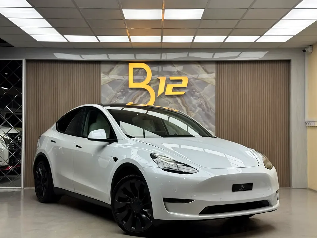 Tesla Model Y AT 4WD (450 hp)
