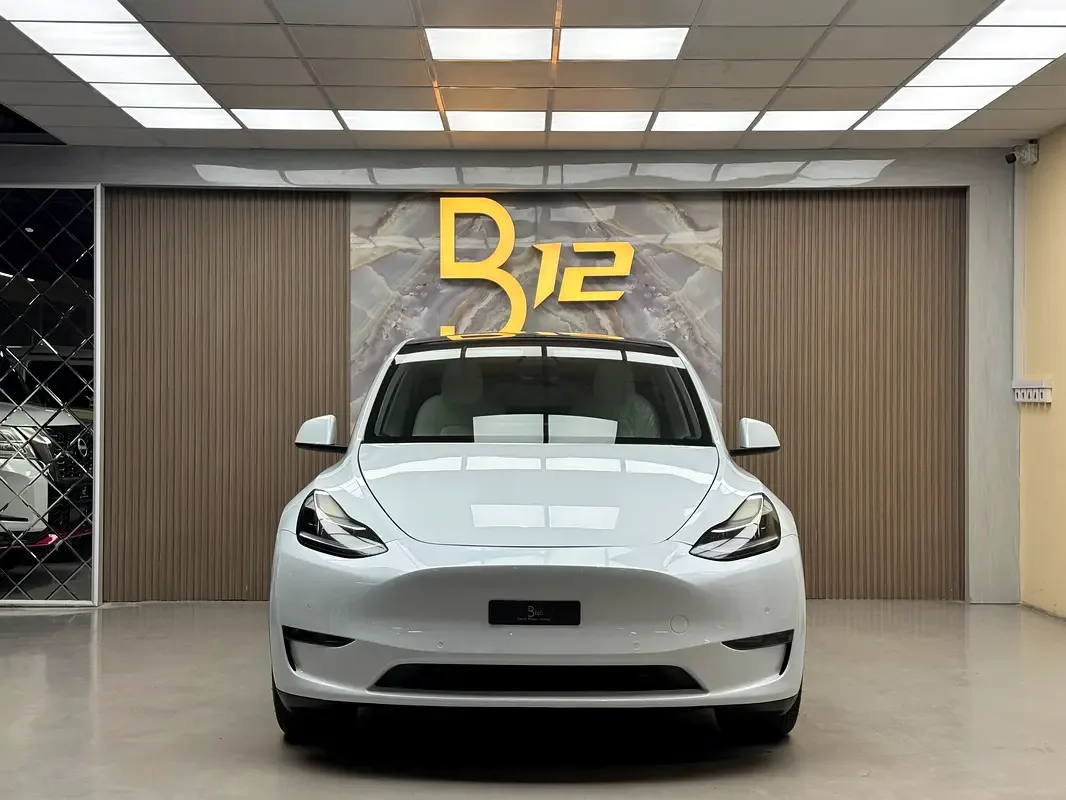 Tesla Model Y AT 4WD (450 hp) - 3