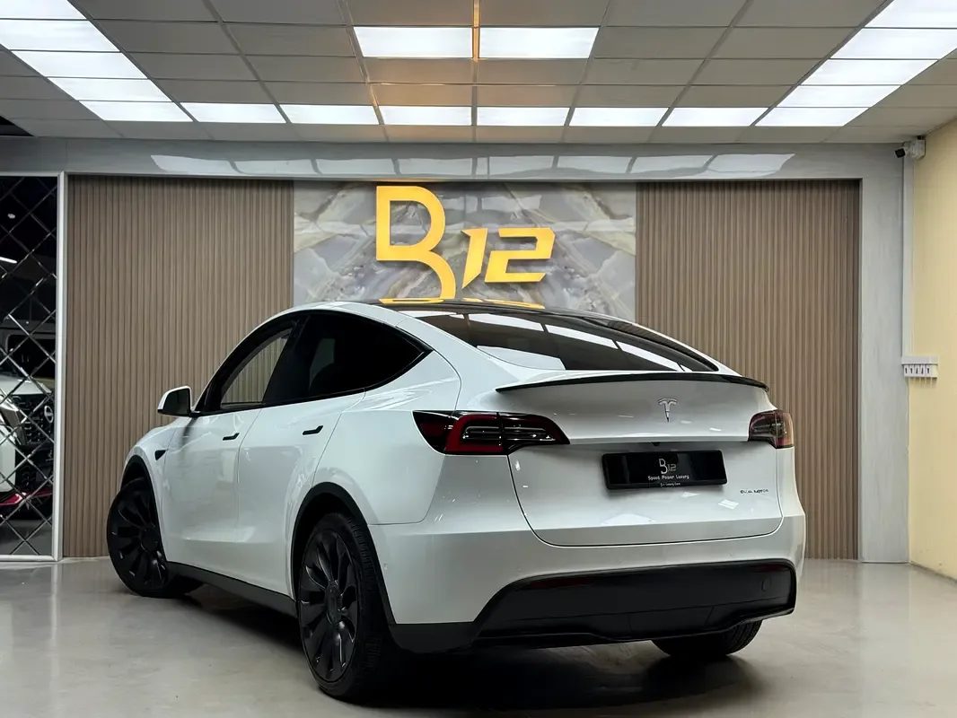 Tesla Model Y AT 4WD (450 hp) - 6