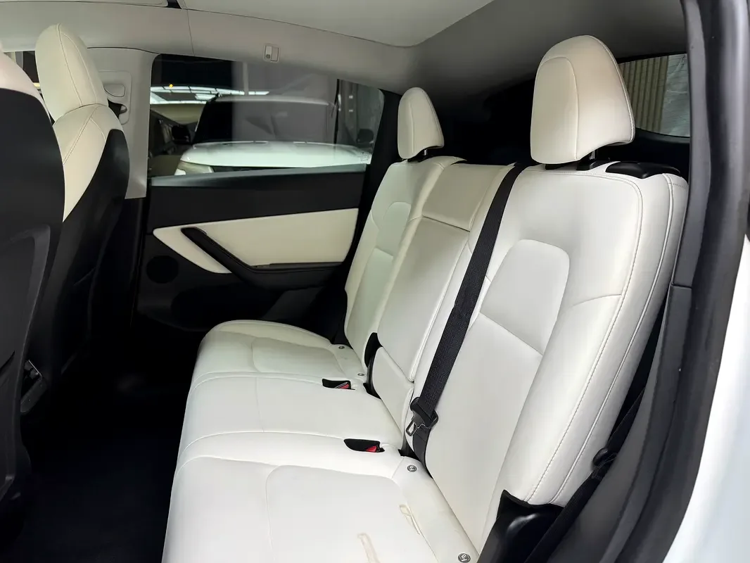 Tesla Model Y AT 4WD (450 hp) - 15