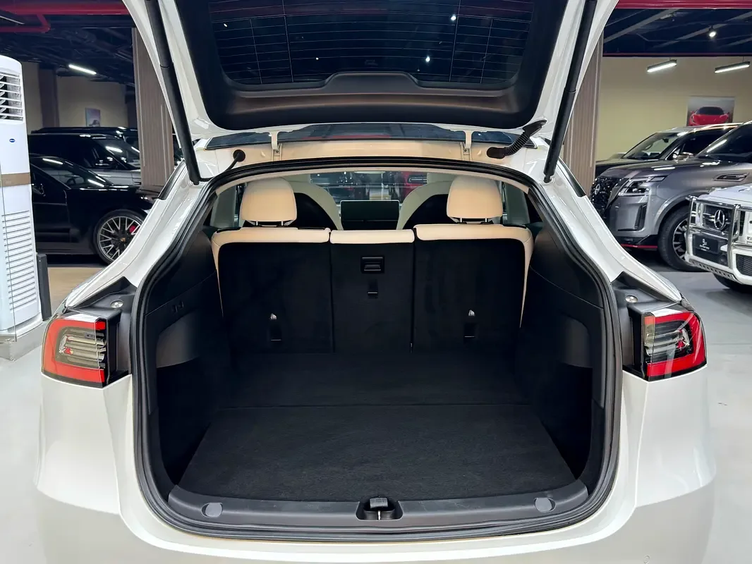 Tesla Model Y AT 4WD (450 hp) - 16
