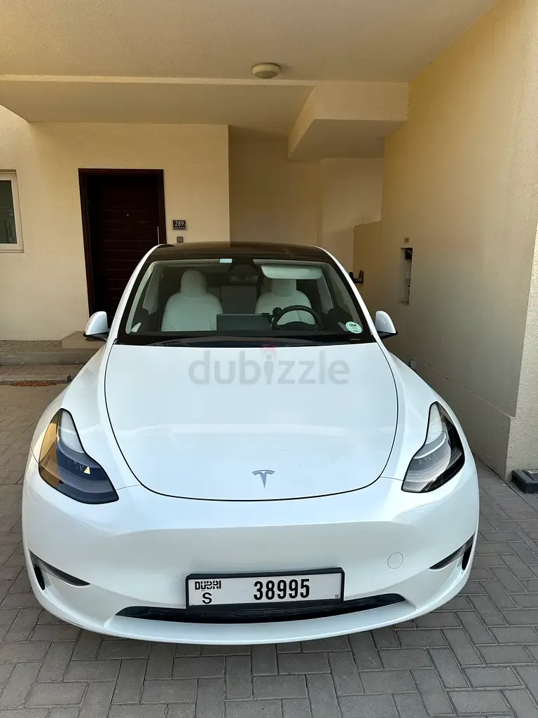 Tesla Model Y AT 4WD (534 hp)