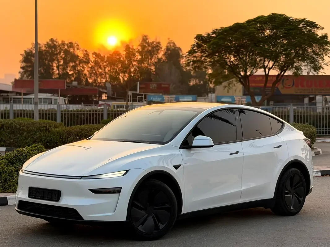 Tesla Model Y AT 4WD (534 hp)