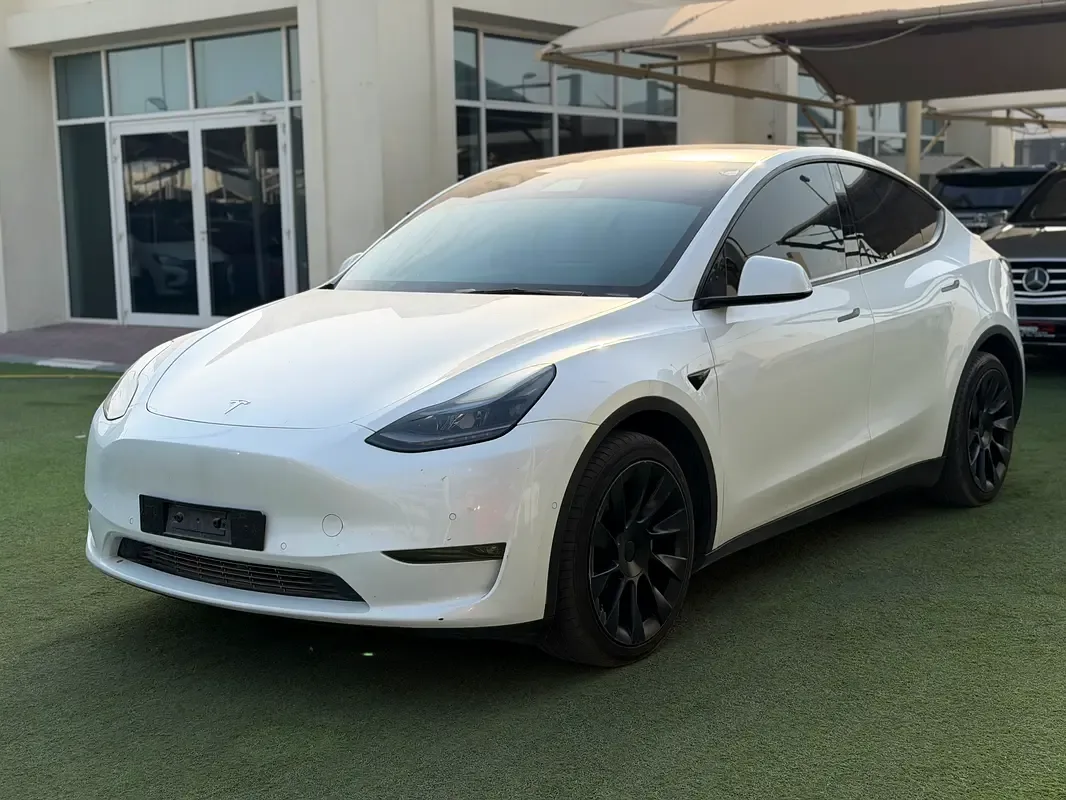 Tesla Model Y AT 4WD (534 hp)