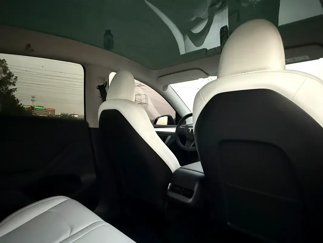 Tesla Model Y AT 4WD (534 حصان) - 20