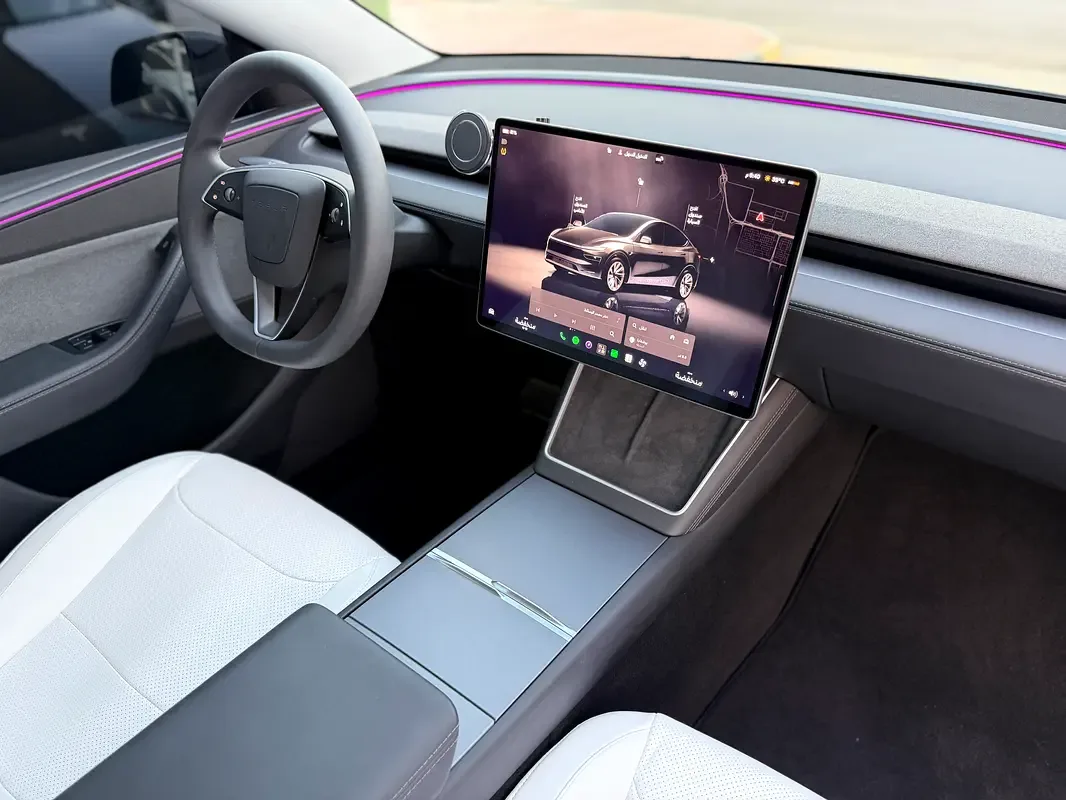 Tesla Model Y AT AWD (450 hp) - 14
