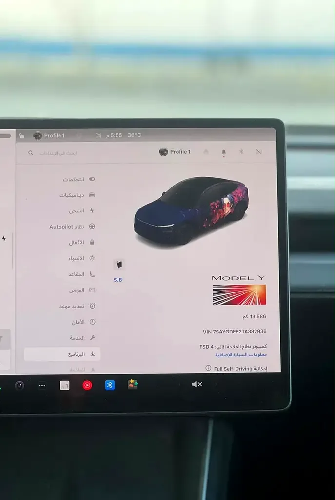 Tesla Model Y AT AWD (450 hp) - 15