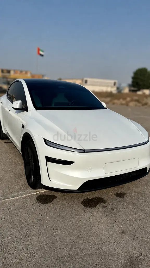 Tesla Model Y AT RWD (299 hp)