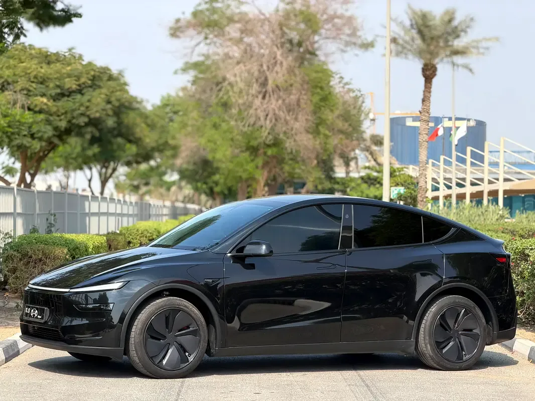 Tesla Model Y AT RWD (299 حصان) - 3