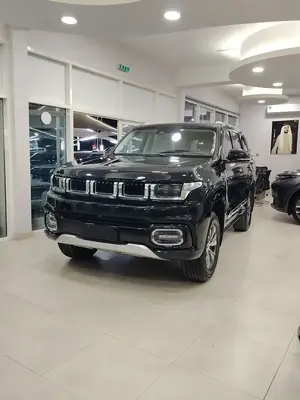 Baic BJ60
