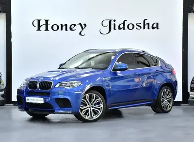 BMW X6 M