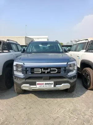 BYD Shark (Shark 6)