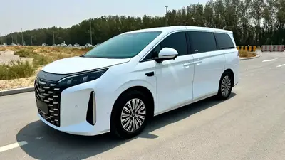 BYD Xia (M9)