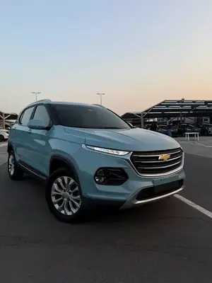 Chevrolet Groove