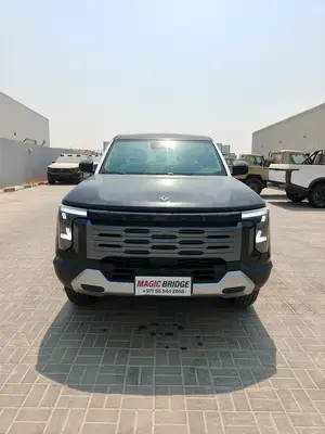 DongFeng Z9