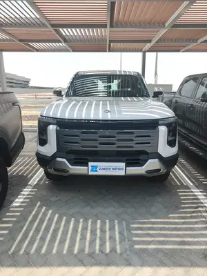 DongFeng Z9