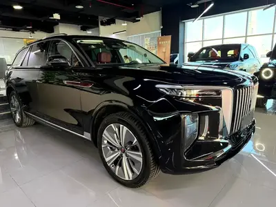 Hongqi E-HS9