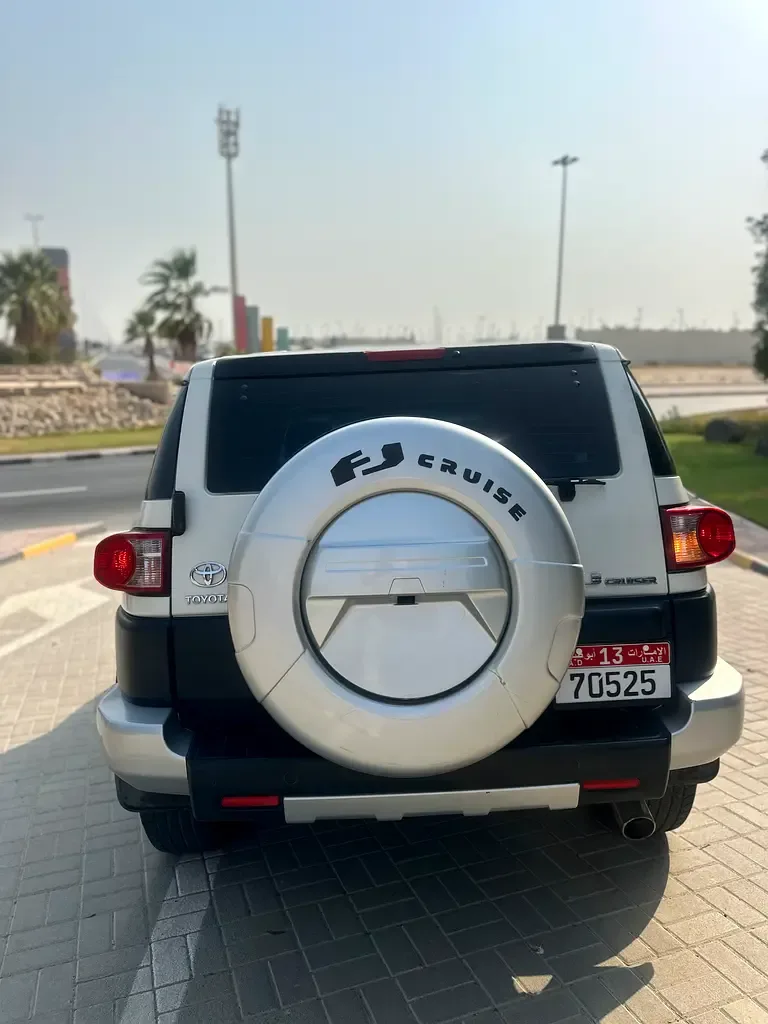 Toyota FJ Cruiser 4.0 AT (264 hp) - 11