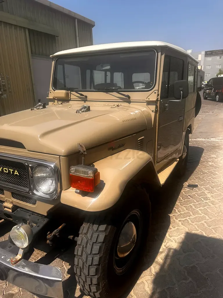 Toyota Land Cruiser 4.2 MT 4WD (135 hp) - 9
