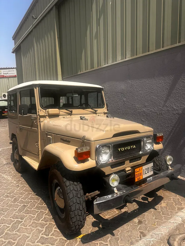 Toyota Land Cruiser 4.2 MT 4WD (135 hp) - 8