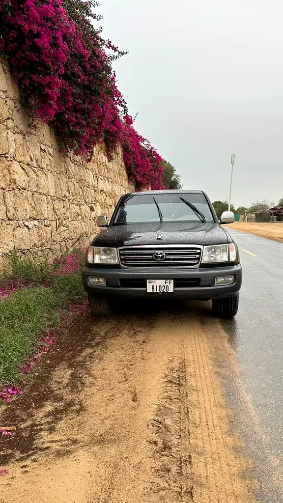 Toyota Land Cruiser 4.5 AT (224 حصان) - 2